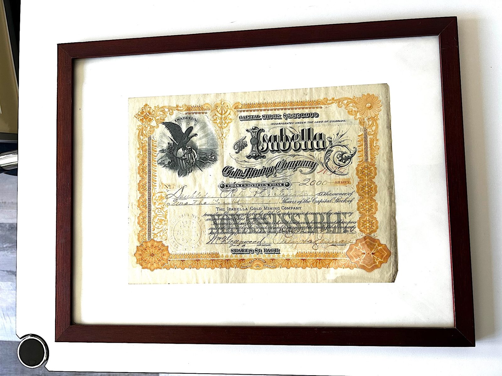 Orig. Minen Aktie U.S.A. von 1892